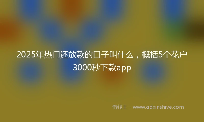 2025年热门还放款的口子叫什么，概括5个花户3000秒下款app