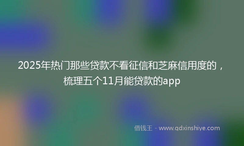 2025年热门那些贷款不看征信和芝麻信用度的，梳理五个11月能贷款的app