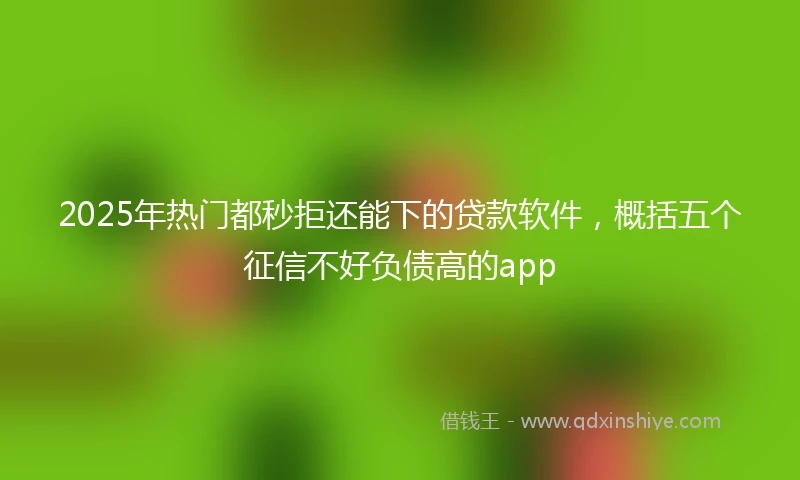 2025年热门都秒拒还能下的贷款软件，概括五个征信不好负债高的app
