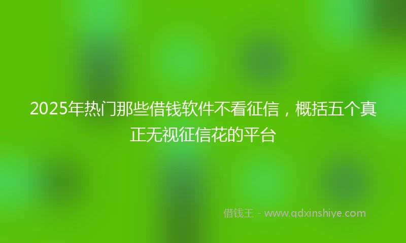 2025年热门那些借钱软件不看征信，概括五个真正无视征信花的平台