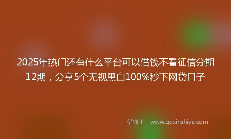 2025年热门还有什么平台可以借钱不看征信分期12期，分享5个无视黑白100%秒下网贷口子