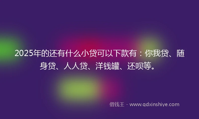 2025年的还有什么小贷可以下款有：你我贷、随身贷、人人贷、洋钱罐、还呗等。