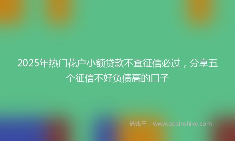 2025年热门花户小额贷款不查征信必过，分享五个征信不好负债高的口子