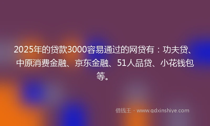 2025年的贷款3000容易通过的网贷有：功夫贷、中原消费金融、京东金融、51人品贷、小花钱包等。