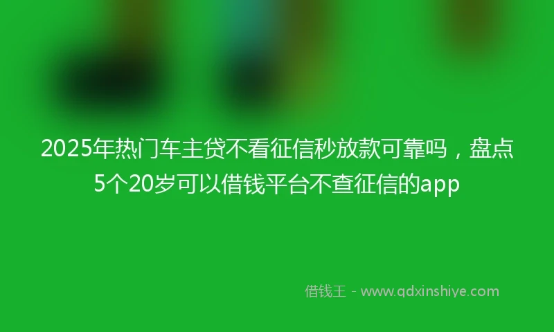 2025年热门车主贷不看征信秒放款可靠吗，盘点5个20岁可以借钱平台不查征信的app