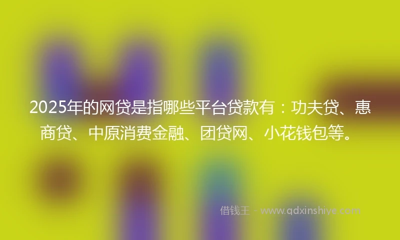 2025年的网贷是指哪些平台贷款有：功夫贷、惠商贷、中原消费金融、团贷网、小花钱包等。