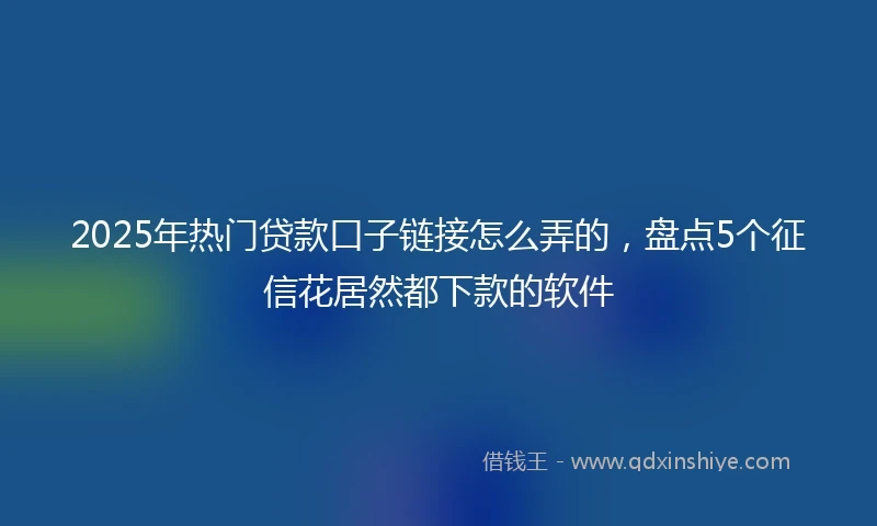 2025年热门贷款口子链接怎么弄的，盘点5个征信花居然都下款的软件