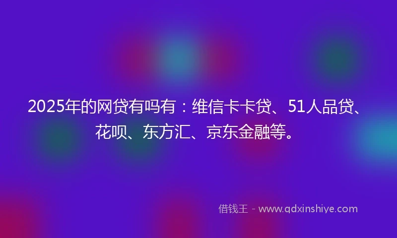 2025年的网贷有吗有：维信卡卡贷、51人品贷、花呗、东方汇、京东金融等。