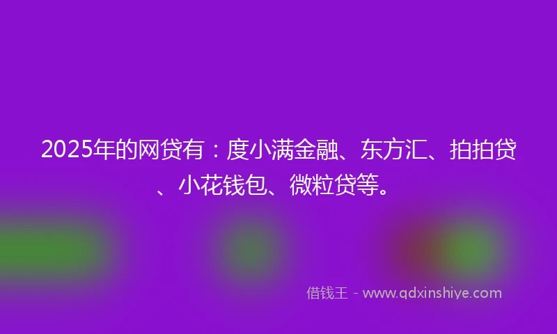2025年的网贷有:度小满金融、东方汇、拍拍贷、小花钱包、微粒贷等。