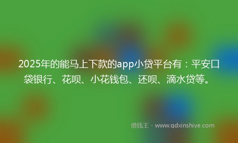 2025年的能马上下款的app小贷平台有：平安口袋银行、花呗、小花钱包、还呗、滴水贷等。