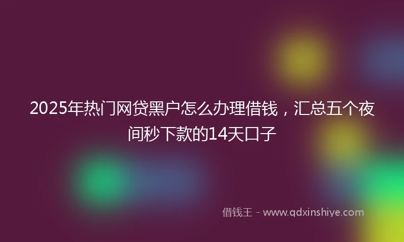 2025年热门网贷黑户怎么办理借钱，汇总五个夜间秒下款的14天口子