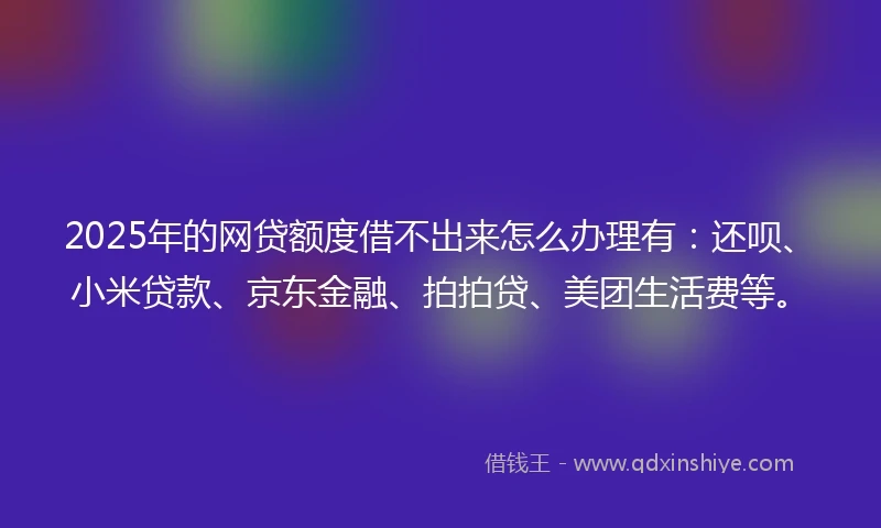 2025年的网贷额度借不出来怎么办理有：还呗、小米贷款、京东金融、拍拍贷、美团生活费等。