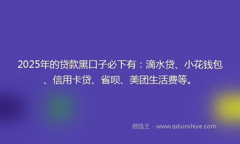 2025年的贷款黑口子必下有：滴水贷、小花钱包、信用卡贷、省呗、美团生活费等。