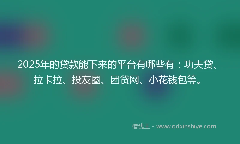 2025年的贷款能下来的平台有哪些有：功夫贷、拉卡拉、投友圈、团贷网、小花钱包等。