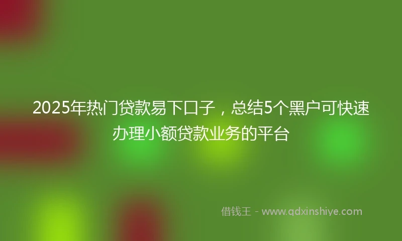 2025年热门贷款易下口子，总结5个黑户可快速办理小额贷款业务的平台