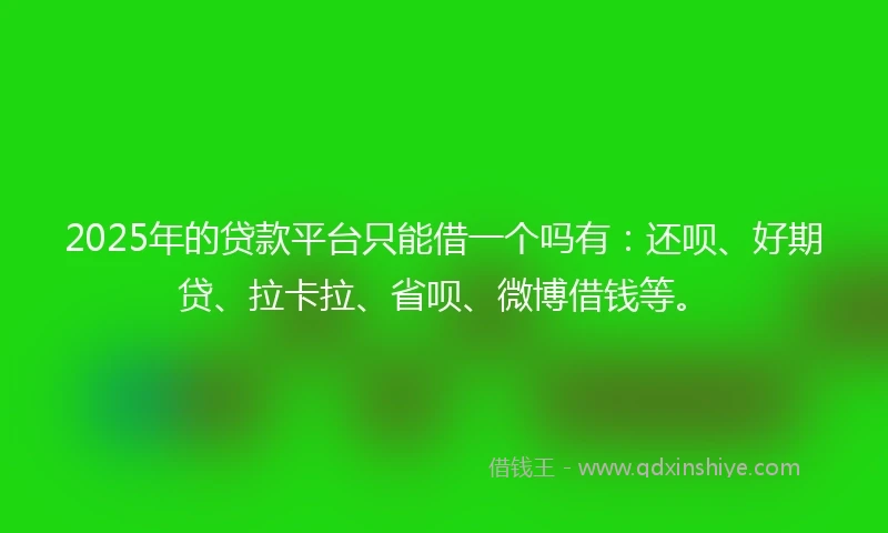 2025年的贷款平台只能借一个吗有：还呗、好期贷、拉卡拉、省呗、微博借钱等。