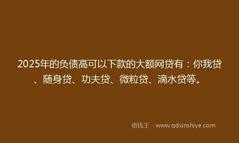 2025年的负债高可以下款的大额网贷有：你我贷、随身贷、功夫贷、微粒贷、滴水贷等。