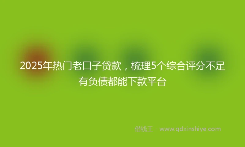 2025年热门老口子贷款，梳理5个综合评分不足有负债都能下款平台