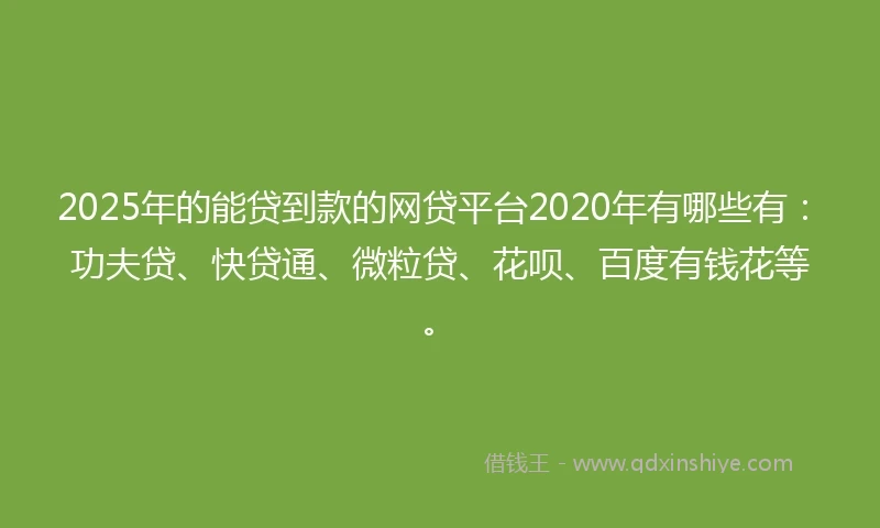 2025年的能贷到款的网贷平台2020年有哪些有：功夫贷、快贷通、微粒贷、花呗、百度有钱花等。