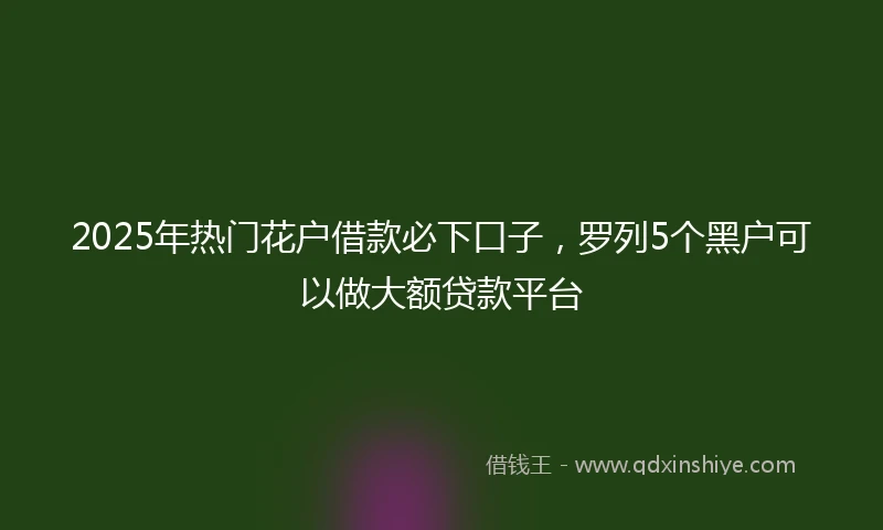 2025年热门花户借款必下口子，罗列5个黑户可以做大额贷款平台