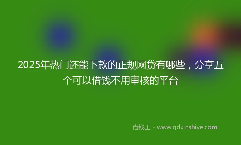 2025年热门还能下款的正规网贷有哪些，分享五个可以借钱不用审核的平台
