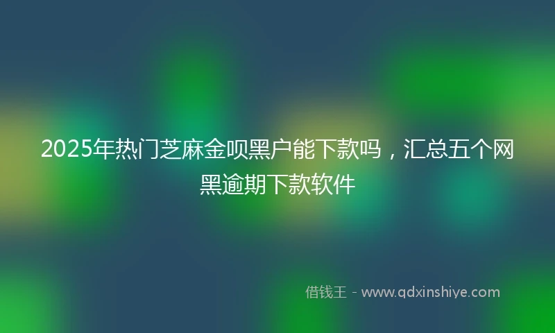 2025年热门芝麻金呗黑户能下款吗，汇总五个网黑逾期下款软件