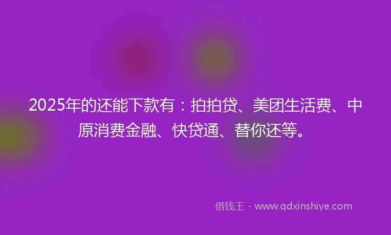 2025年的还能下款有：拍拍贷、美团生活费、中原消费金融、快贷通、替你还等。