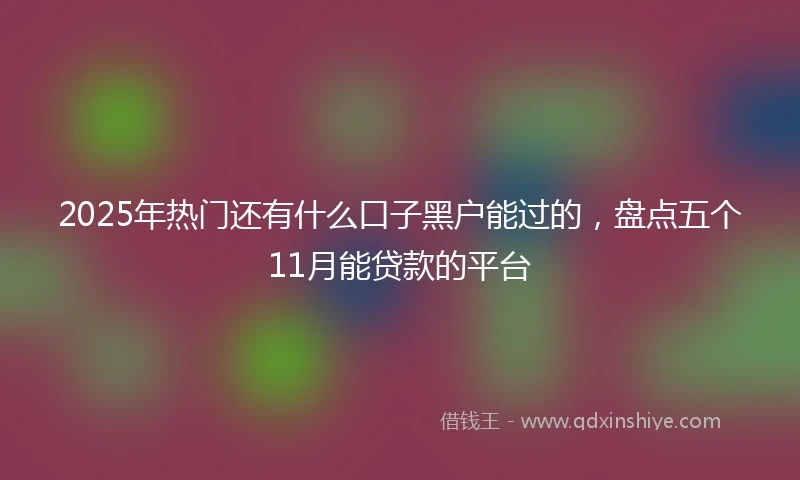 2025年热门还有什么口子黑户能过的，盘点五个11月能贷款的平台