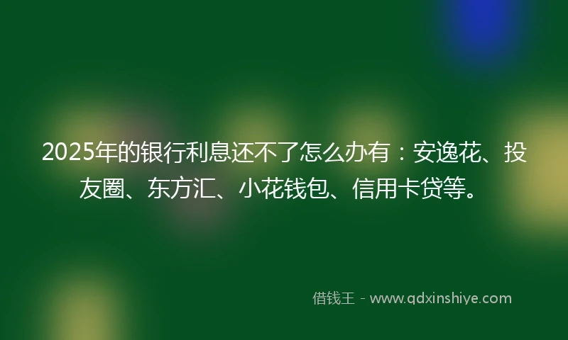 2025年的银行利息还不了怎么办有：安逸花、投友圈、东方汇、小花钱包、信用卡贷等。