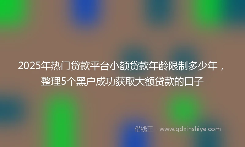 2025年热门贷款平台小额贷款年龄限制多少年，整理5个黑户成功获取大额贷款的口子