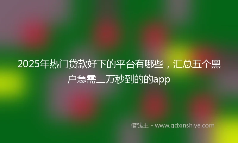 2025年热门贷款好下的平台有哪些，汇总五个黑户急需三万秒到的的app