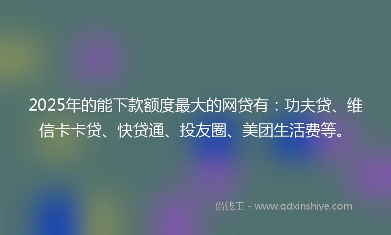 2025年的能下款额度最大的网贷有：功夫贷、维信卡卡贷、快贷通、投友圈、美团生活费等。