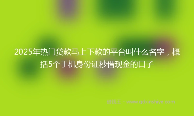 2025年热门贷款马上下款的平台叫什么名字，概括5个手机身份证秒借现金的口子