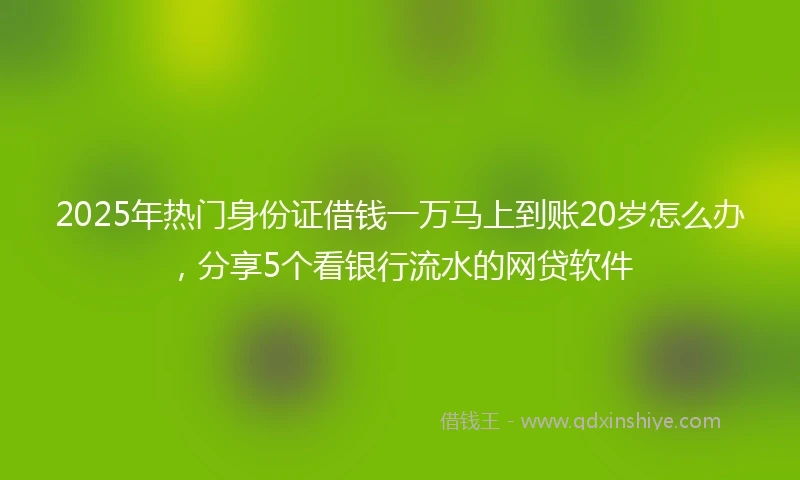 2025年热门身份证借钱一万马上到账20岁怎么办,分享5个看银行流水的网贷软件