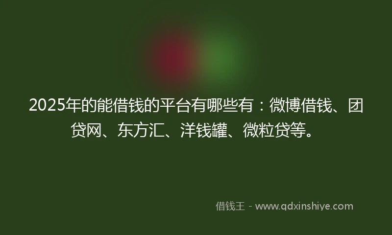 2025年的能借钱的平台有哪些有：微博借钱、团贷网、东方汇、洋钱罐、微粒贷等。