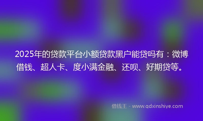 2025年的贷款平台小额贷款黑户能贷吗有：微博借钱、超人卡、度小满金融、还呗、好期贷等。
