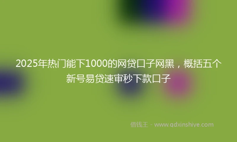 2025年热门能下1000的网贷口子网黑，概括五个新号易贷速审秒下款口子