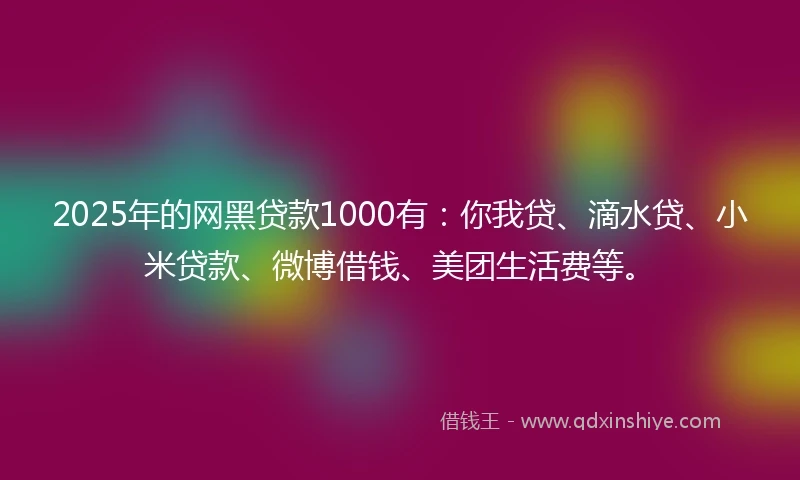 2025年的网黑贷款1000有：你我贷、滴水贷、小米贷款、微博借钱、美团生活费等。