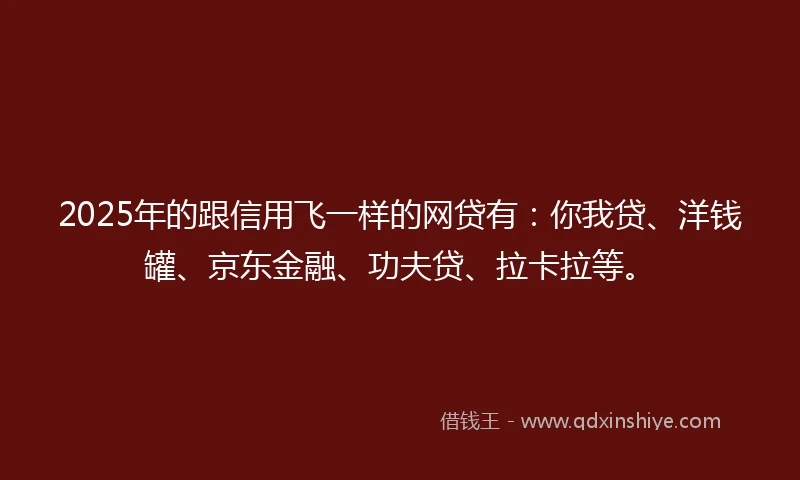 2025年的跟信用飞一样的网贷有：你我贷、洋钱罐、京东金融、功夫贷、拉卡拉等。