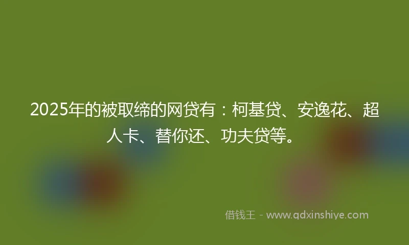2025年的被取缔的网贷有：柯基贷、安逸花、超人卡、替你还、功夫贷等。