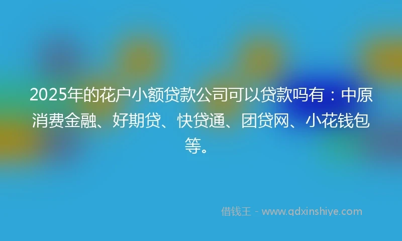 2025年的花户小额贷款公司可以贷款吗有：中原消费金融、好期贷、快贷通、团贷网、小花钱包等。