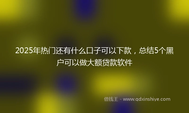 2025年热门还有什么口子可以下款，总结5个黑户可以做大额贷款软件