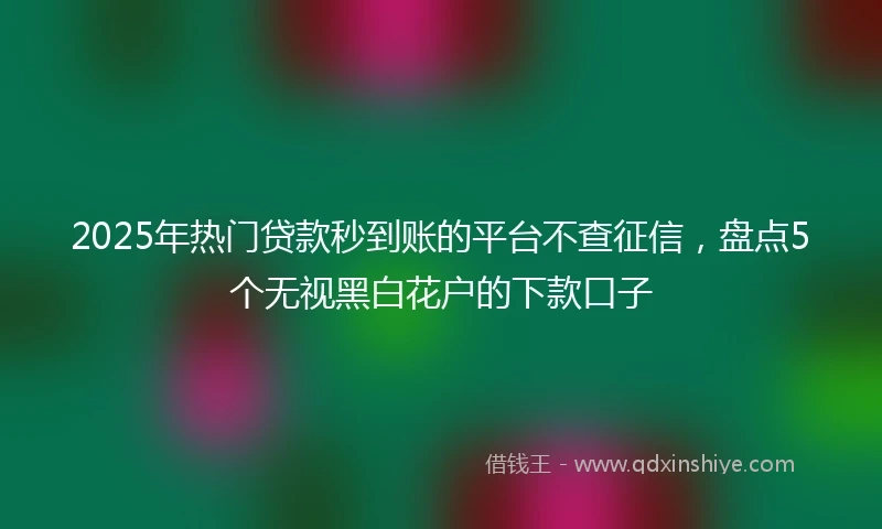 2025年热门贷款秒到账的平台不查征信，盘点5个无视黑白花户的下款口子