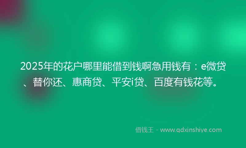 2025年的花户哪里能借到钱啊急用钱有：e微贷、替你还、惠商贷、平安i贷、百度有钱花等。