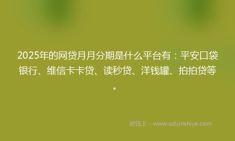 2025年的网贷月月分期是什么平台有：平安口袋银行、维信卡卡贷、读秒贷、洋钱罐、拍拍贷等。