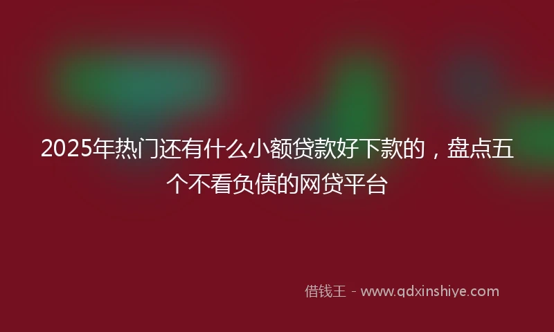 2025年热门还有什么小额贷款好下款的，盘点五个不看负债的网贷平台