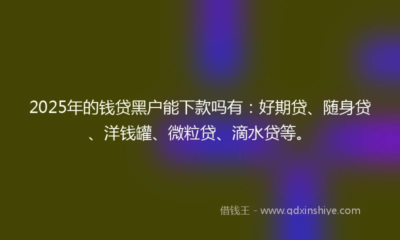 2025年的钱贷黑户能下款吗有：好期贷、随身贷、洋钱罐、微粒贷、滴水贷等。
