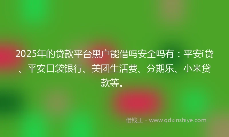 2025年的贷款平台黑户能借吗安全吗有：平安i贷、平安口袋银行、美团生活费、分期乐、小米贷款等。