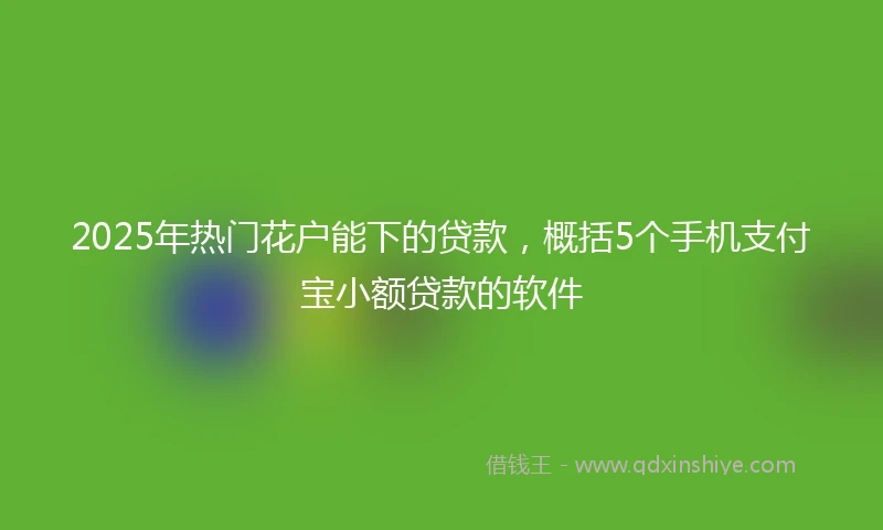 2025年热门花户能下的贷款，概括5个手机支付宝小额贷款的软件