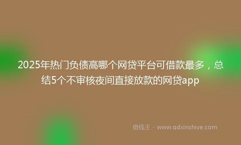 2025年热门负债高哪个网贷平台可借款最多，总结5个不审核夜间直接放款的网贷app
